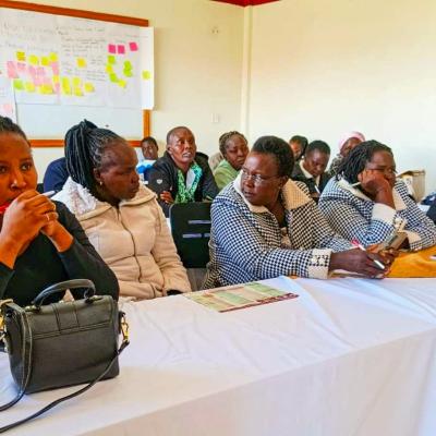 Community Entrepreneurship Support Project 2