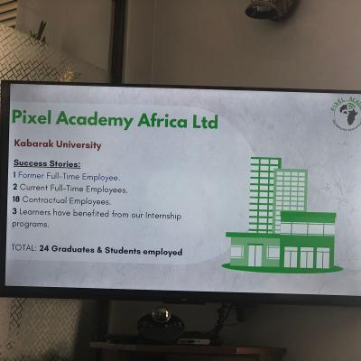 Kabutvet Pixel Partnership 7