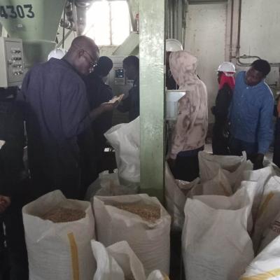 Industry Exposure 15